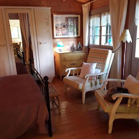 Le Chalet De La Grenouille Verte Tursac Екстериор снимка